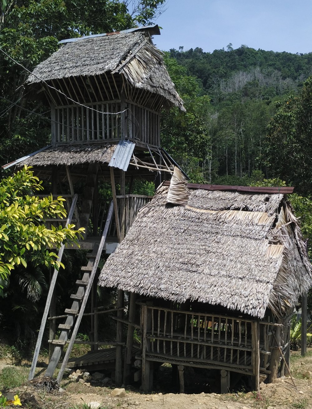 Rorizan of Maranjak Longhouse Lodge in Kampung Bavanggazo, Sabah